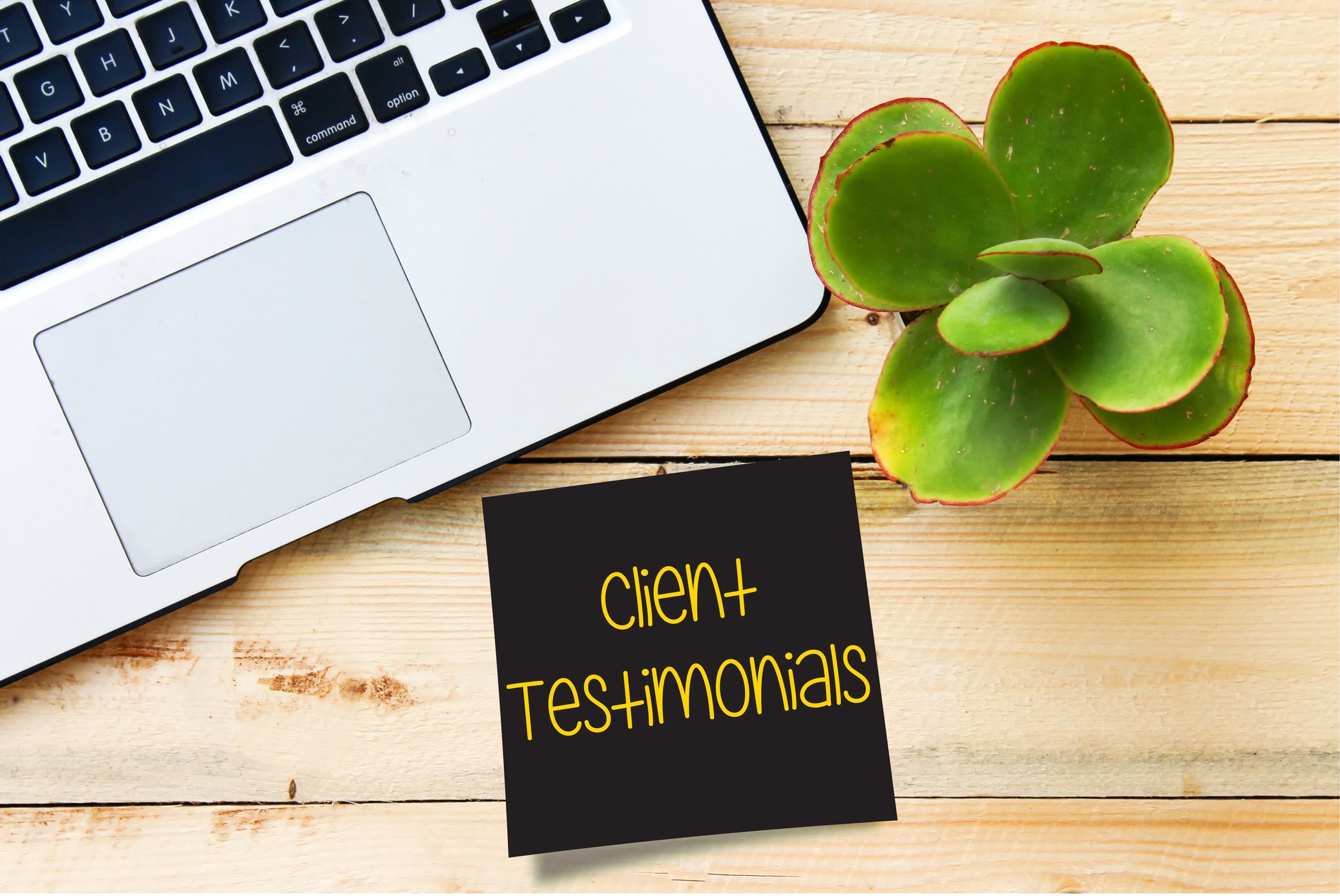 Client Testimonials