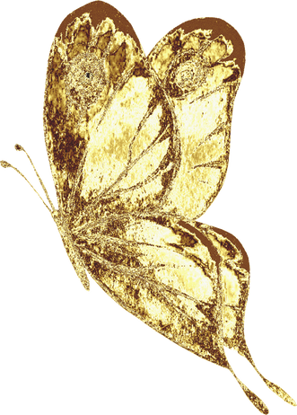 Golden Butterfly Illustration