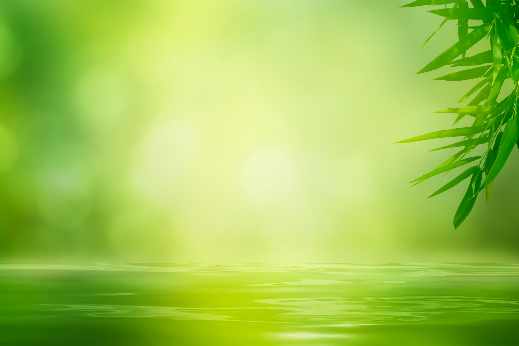 bamboo and water zen-like background